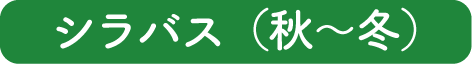 シラバス（秋～冬学期）